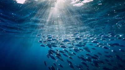 Fishing & Aquaculture