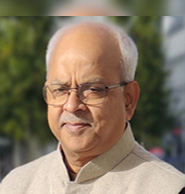 Committee Member