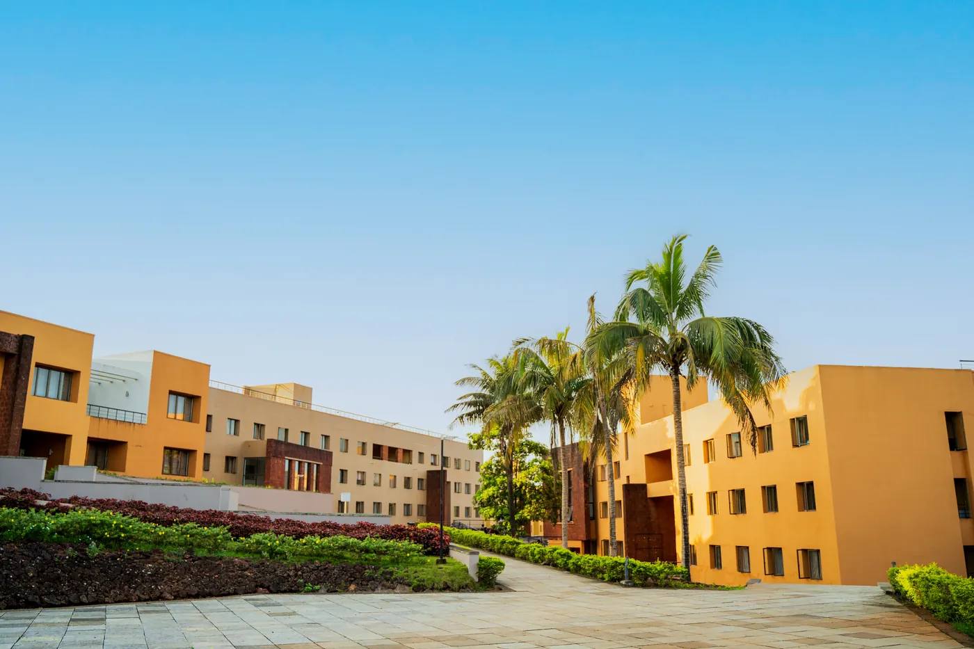 Campus buildings lined with palm trees